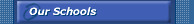 Top School Sports Websites